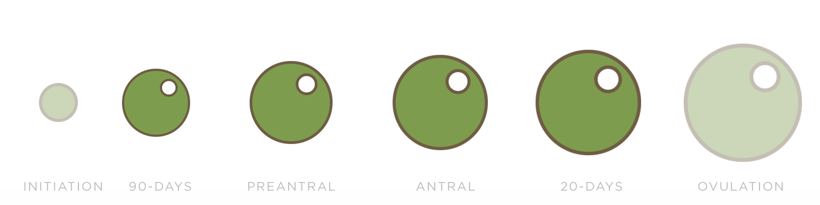 Location San Francisco Acupuncture